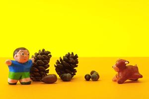 大阪近辺でペット火葬を依頼するなら