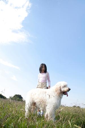 シロアリ駆除ならアサンテ｜即日対応・土日祝も受付で安心のサービス提供