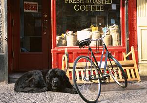 犬グッズが買える代官山のセレクトショップ