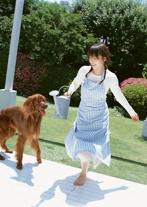 マンチカンを直接購入できるお店