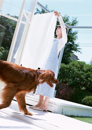 京都市の街に密着する道路沿いの動物病院