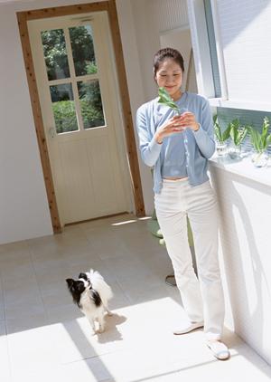 かわいいノルウェージャン子猫が見つかる