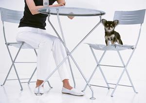 愛犬の健康を守る！ロイヤルカナン療法食の選び方とおすすめ製品ガイド