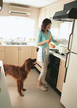 飼い主なら考えておきたい老犬介護