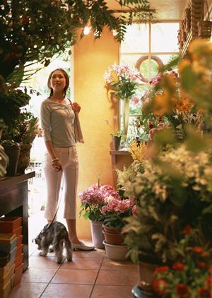 愛知県のペットMRI検査ができる獣医